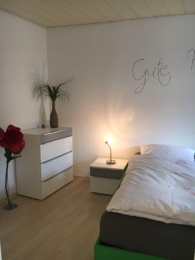 Gemuetliches Appartement Naehe Zentrum Mit Kueche Haßfurt Extérieur photo